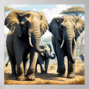 Buscar elefante posters Vida silvestre