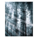 Buscar paisaje natural posters Bosques
