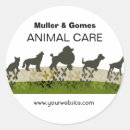 Buscar veterinaria pegatinas 9 º gata