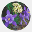 Buscar flauta pegatinas Botánico