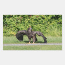 Buscar bald eagle pegatinas Raptor