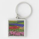 Buscar uva llaveros Diseño