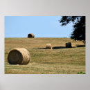Buscar bala posters Rural