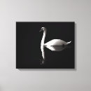 Buscar cisnes lienzos Cisne blanco