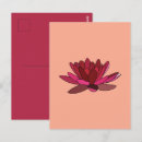 Buscar lirios postales Para ella