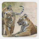 Buscar rajasthan pegatinas 8 º masacre