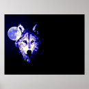 Buscar lobo azul posters Vida silvestre