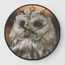 Buscar pájaro marrón relojes de pared Búho