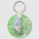 Buscar foxy llaveros Zorro