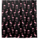 Buscar flamenco Tropical