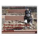 Buscar schnauzer calendarios Perrito