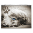 Buscar gatos lindos calendarios Amantes de los gatos