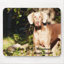 Buscar weimaraner alfombrillas de raton Perro