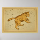 Buscar ursa Vintage