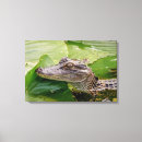 Buscar lagarto lienzos Vida silvestre