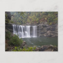 Buscar kentucky postales Bosque