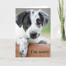 Buscar sorry tarjetas Perdóname