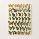 Buscar mariposa del vintage puzzles General y unisex