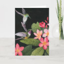 Buscar colibríes tarjetas Naturaleza