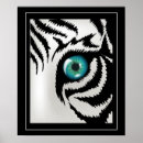 Buscar tigre blanco arte Pared