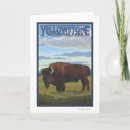 Buscar bisonte tarjetas Yellowstone