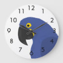 Buscar loros relojes de pared Macaw