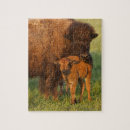Buscar bisontes puzzles Animal