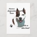 Buscar american staffordshire terrier postales De am