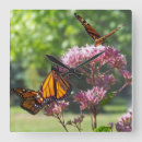Buscar mariposa relojes de pared General y unisex