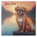 Buscar boxer azulejos Perro