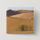 Buscar sahara chapas Desierto