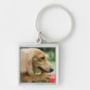 Buscar singapur llaveros Primer