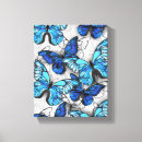 Buscar mariposa azul lienzos Blanco
