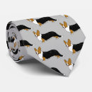 Buscar corgis Cardigan welsh corgi