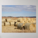 Buscar bala arte Campo