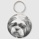 Buscar shih tzu llaveros Perros