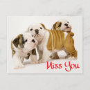 Buscar copia postales General y unisex