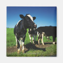 Buscar agricultura imanes Horizontal