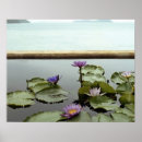 Buscar ocio posters Lago