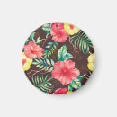 Buscar tropical imanes Ilustracion