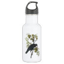 Buscar cuervo agua botellas Ave