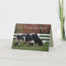 Buscar buey tarjetas Toro