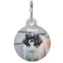 Buscar shih mascotas Adorable