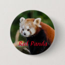 Buscar panda chapas Animal