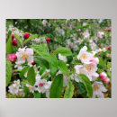 Buscar gotas de agua arte Primavera