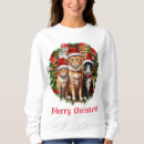 Buscar gatos sudaderas Humor