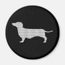 Buscar teckel imanes Doxie