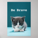 Buscar gatito posters Vertical