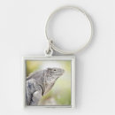 Buscar iguanas llaveros Animales
