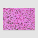 Buscar fondo rosado fotografía Flores